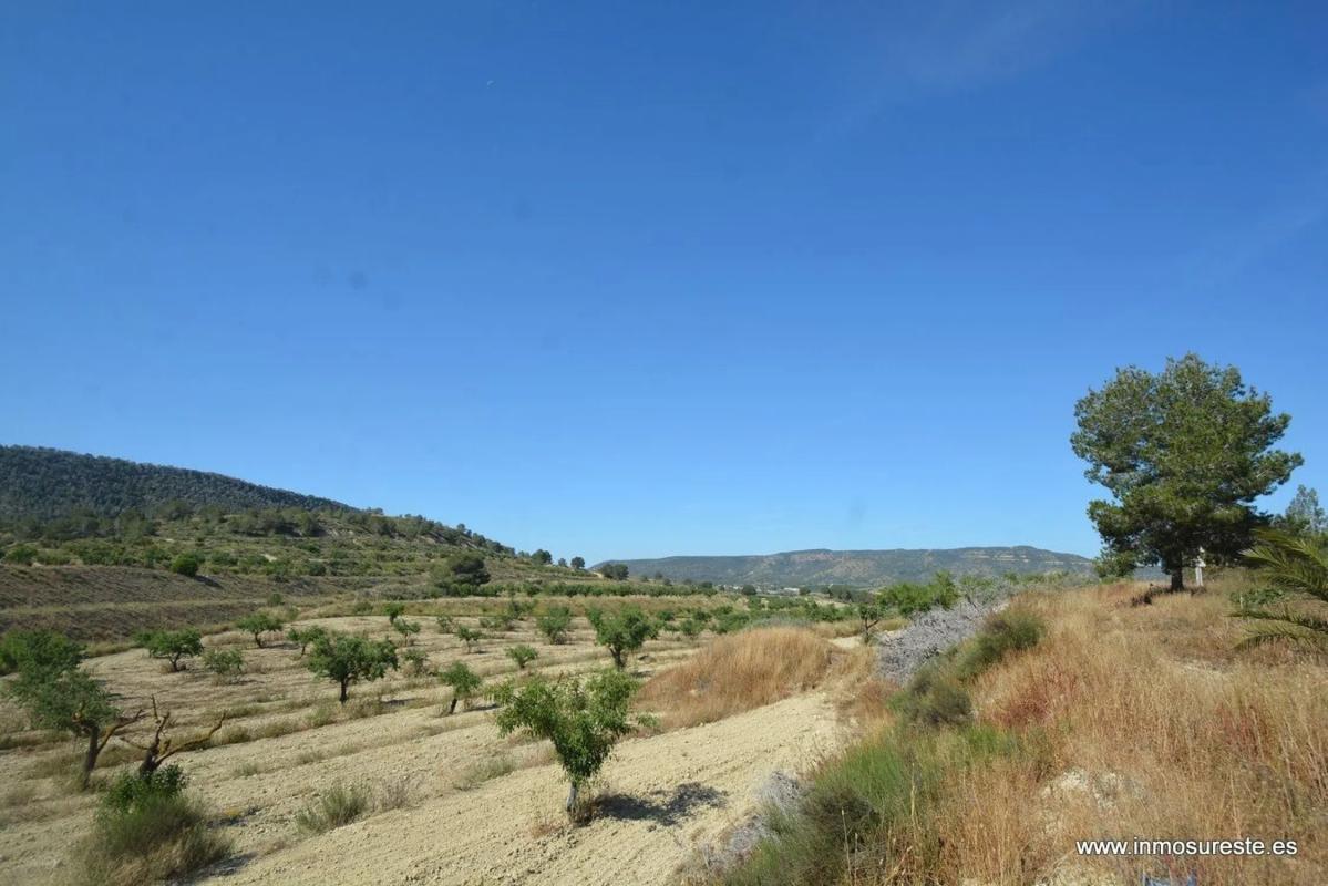 Terreno en venta en Orihuela, Alicante photo 5