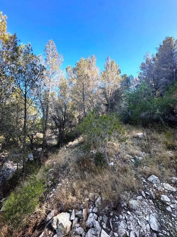 Terreno en venta en Altea, Alicante photo 3