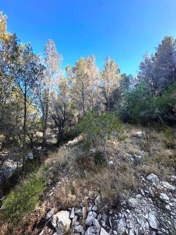 Terreno en Altea la Vella thumbnail 3