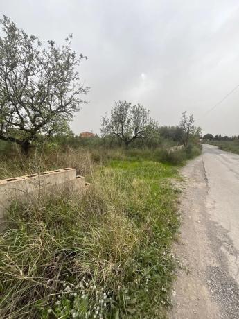 Terreno en Algoda-Matola-Llano de San José photo 3