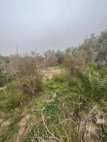 Terreno en Algoda-Matola-Llano de San José photo 4