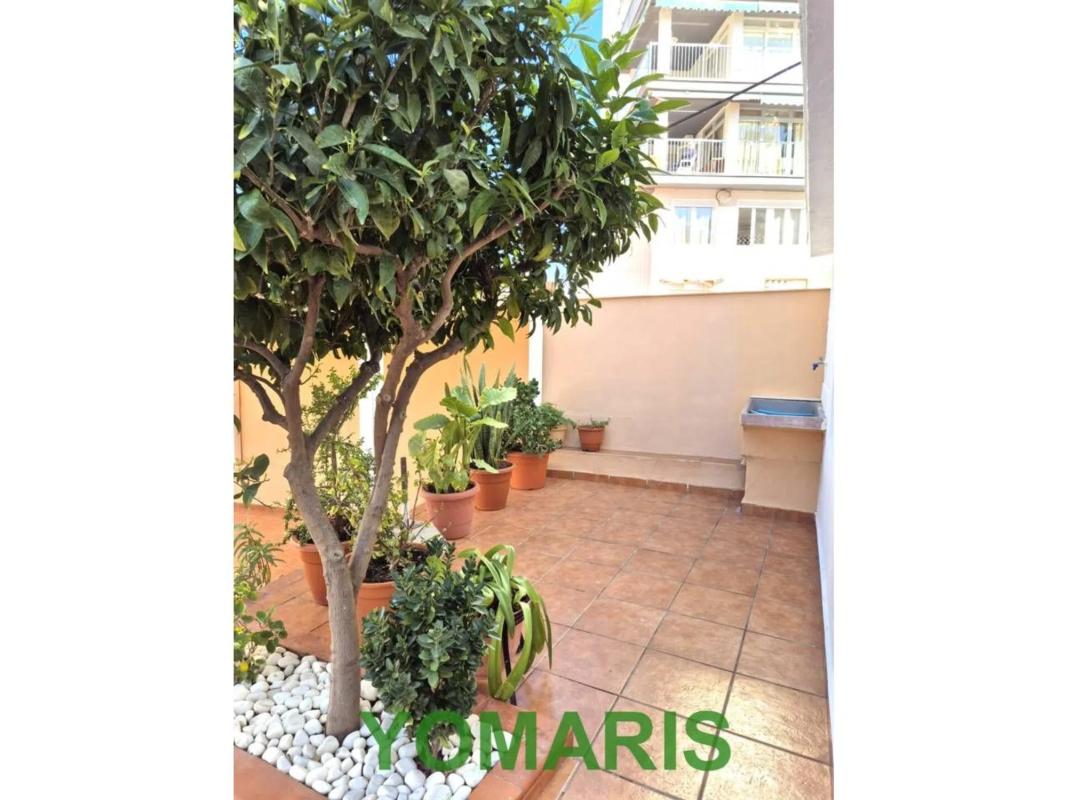 Venta de chalet independiente en Calle Apolo, Alicante / Alacant
 photo 3