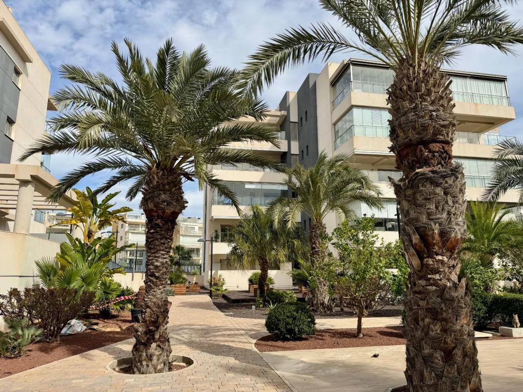 Venta de piso en Calle Clavo, Orihuela
 photo 5