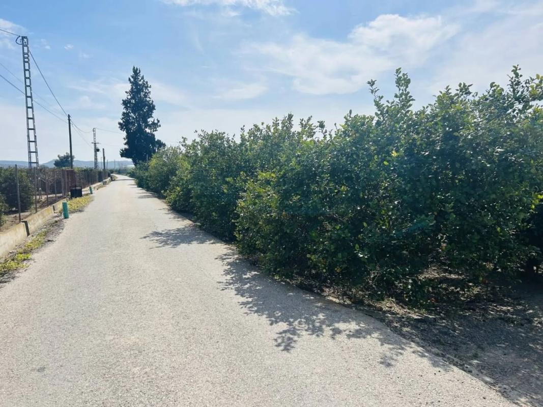 Sprzedaż niezależnego domku jednorodzinnego w  Vereda el Pino, Orihuela photo 3