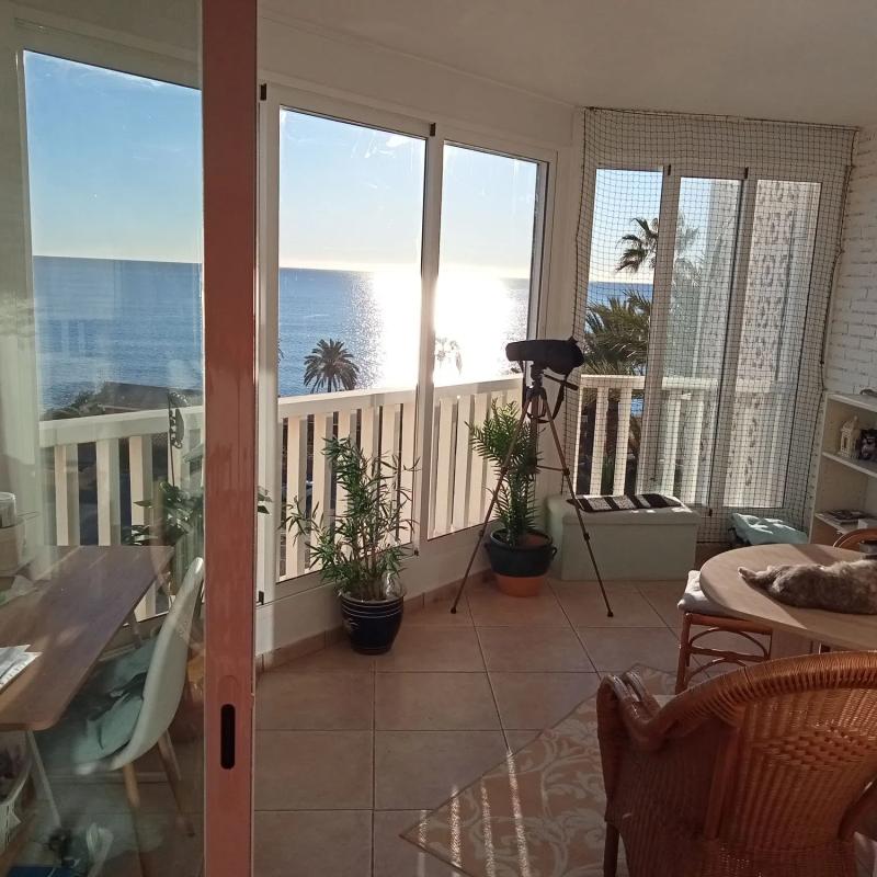 Продажа квартиры на Calle de Gaianes, 4, Эль Кампельо
photo 1