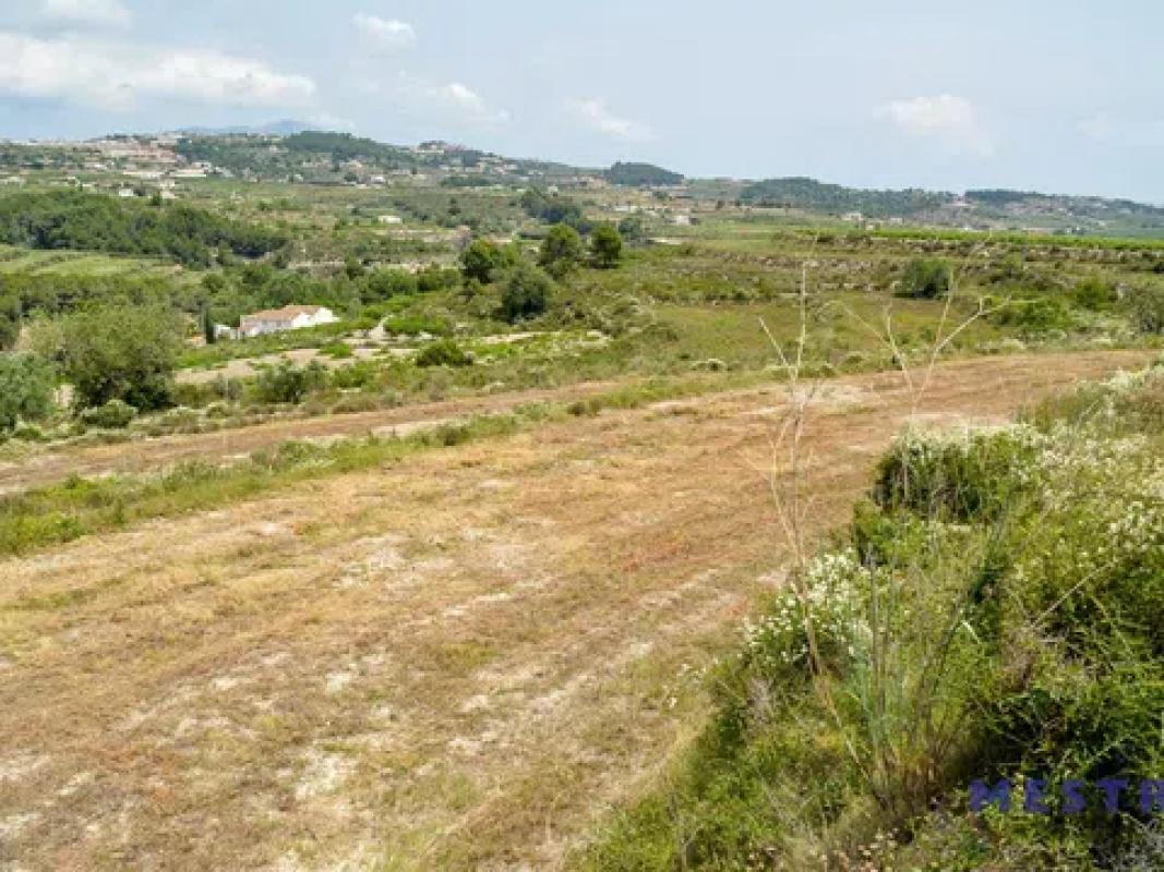 Land for sale in Teulada, Alicante photo 2