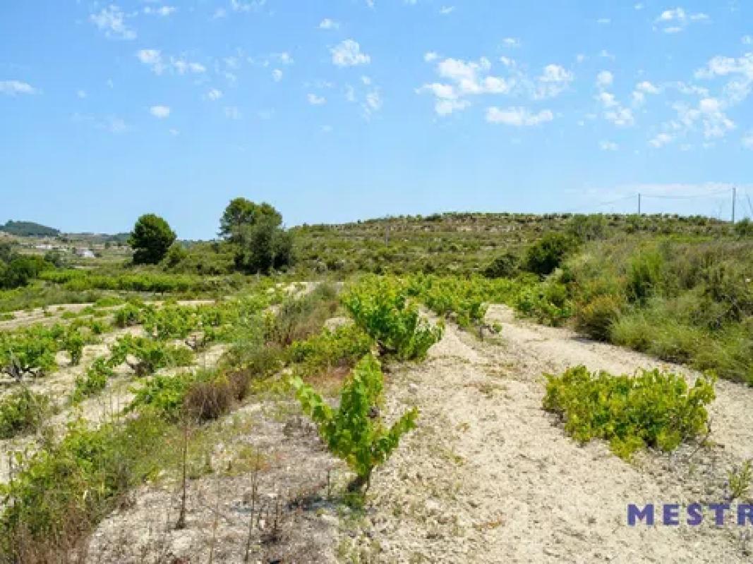 Land for sale in Teulada, Alicante photo 5