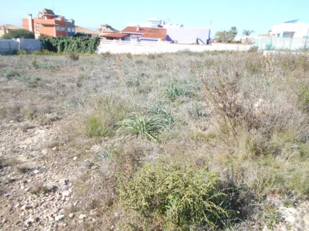 Terreno en venta en Torrevieja, Alicante photo 2