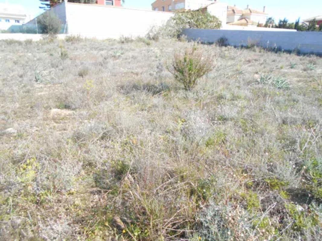 Terreno en venta en Torrevieja, Alicante photo 5