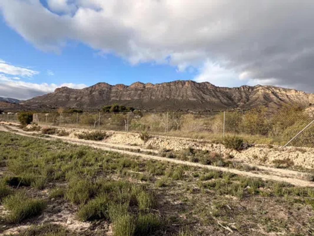 Terreno en venta en Jijona / Xixona, Alicante photo 3