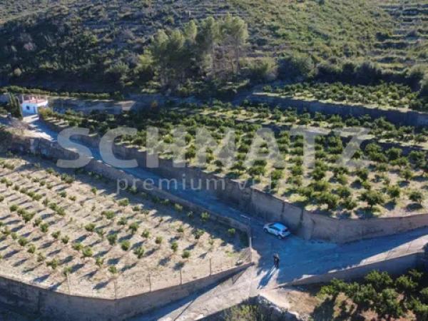 Terreno en Adsubia photo 2