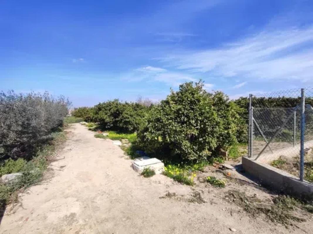 Terreno en venta en Formentera del Segura, Alicante photo 2