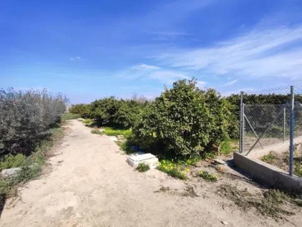 Terreno en Formentera del Segura photo 2