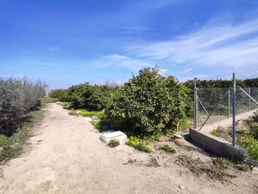 Terreno en venta en Formentera del Segura, Alicante photo 3