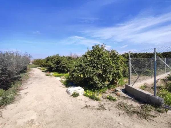 Terreno en Formentera del Segura photo 3