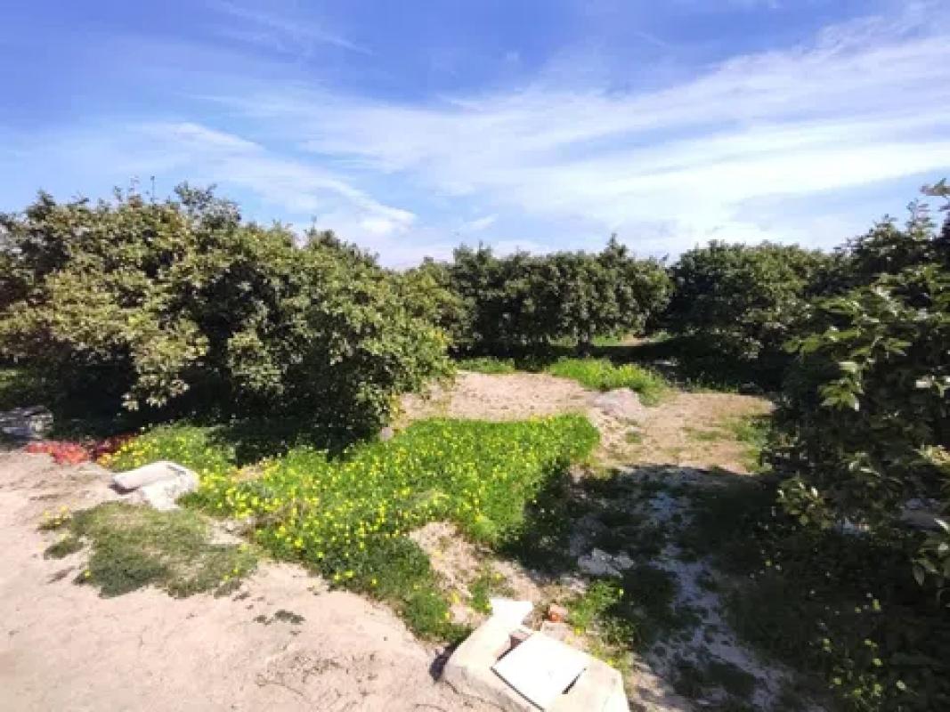 Terreno en venta en Formentera del Segura, Alicante photo 4
