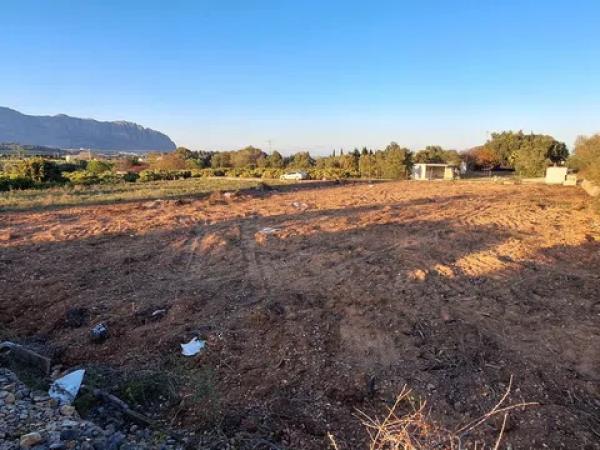 Terreno en camino Dels Rafalets s/n photo 1