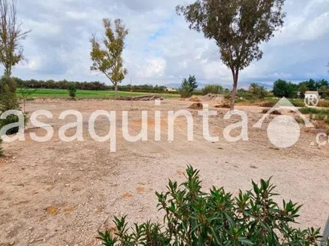 Terreno en venta en Crevillente, Alicante photo 3