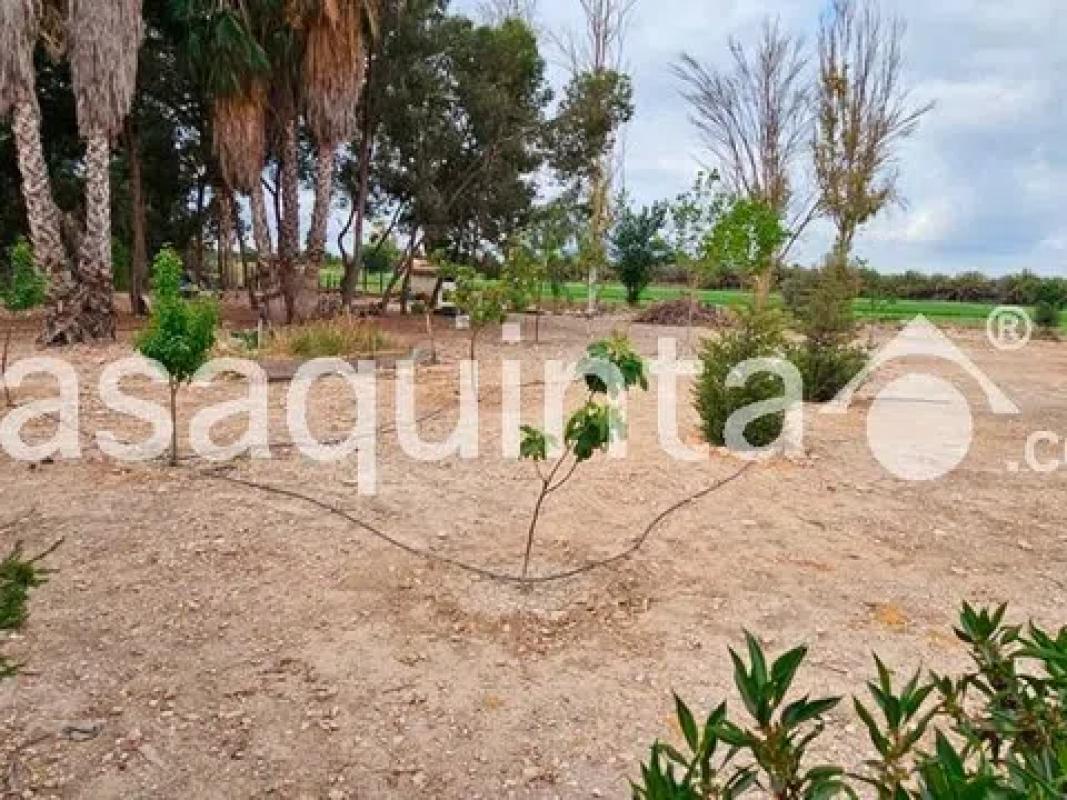 Terreno en venta en Crevillente, Alicante photo 4