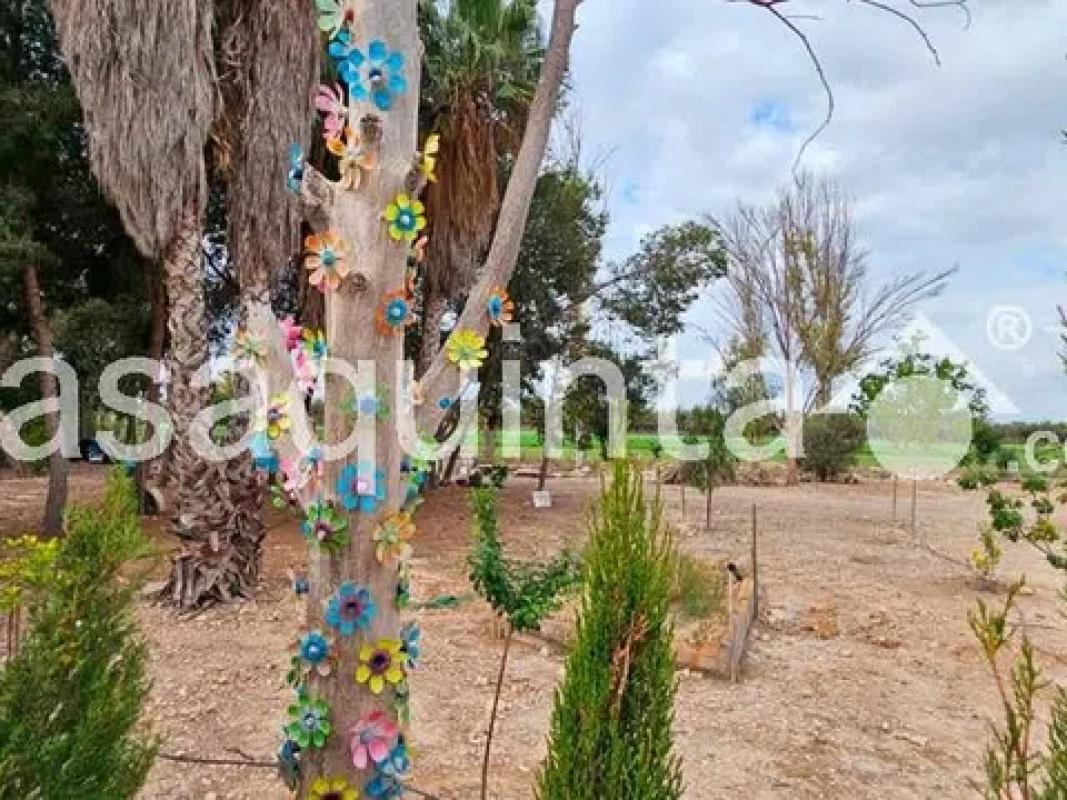 Terreno en venta en Crevillente, Alicante photo 5
