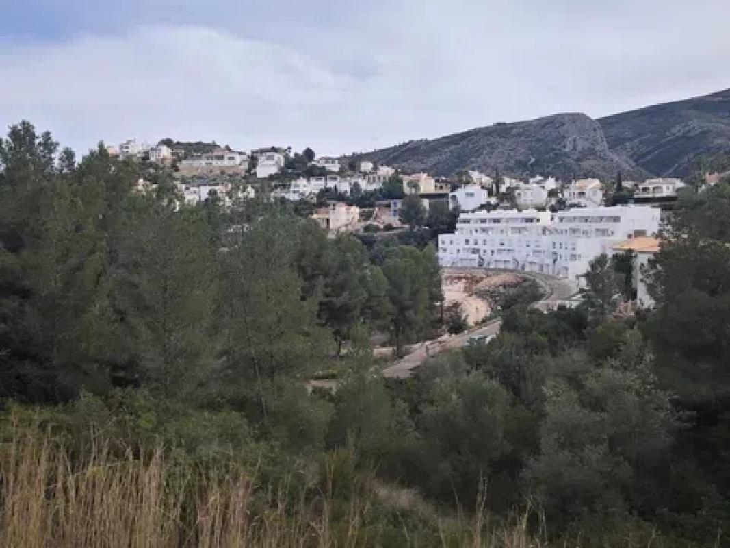 Land for sale in Pedreguer, Alicante photo 3