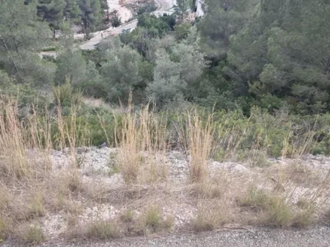 Land for sale in Pedreguer, Alicante photo 4