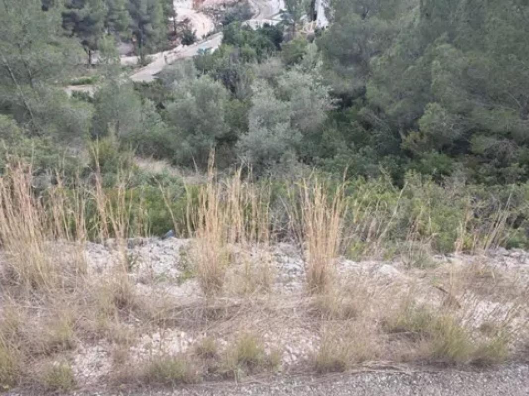Land for sale in Pedreguer, Alicante photo 5