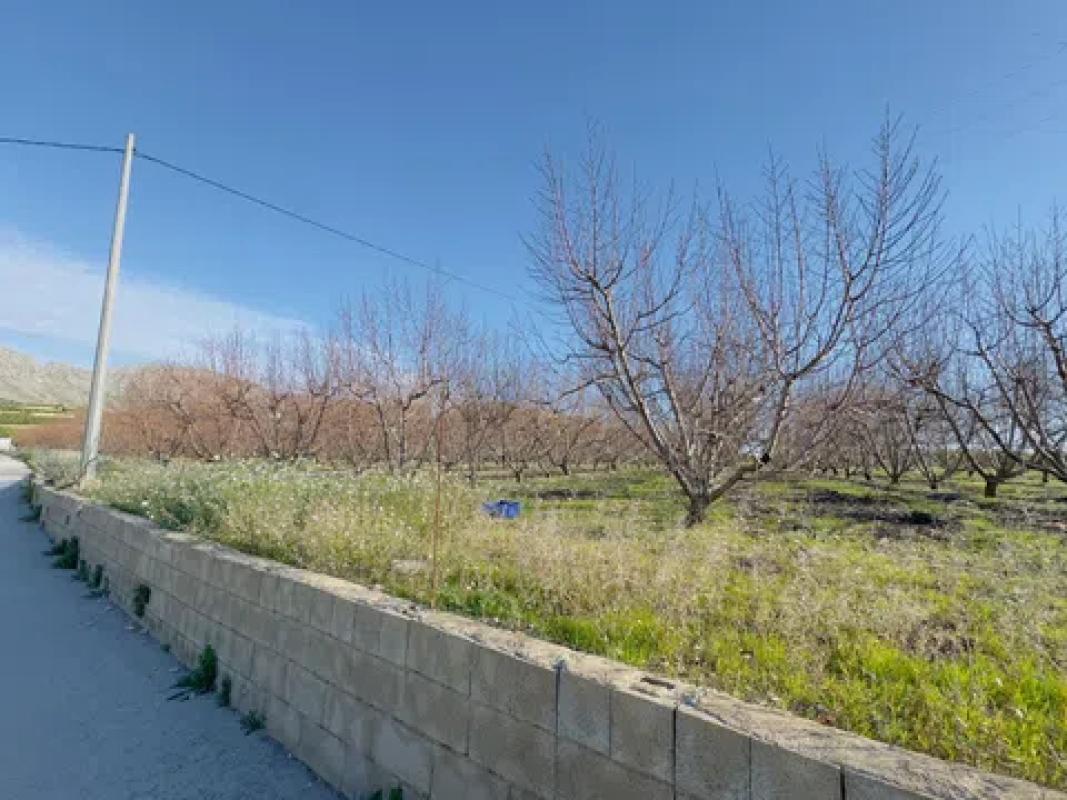 Terreno en venta en Sanet y Negrals, Alicante photo 1