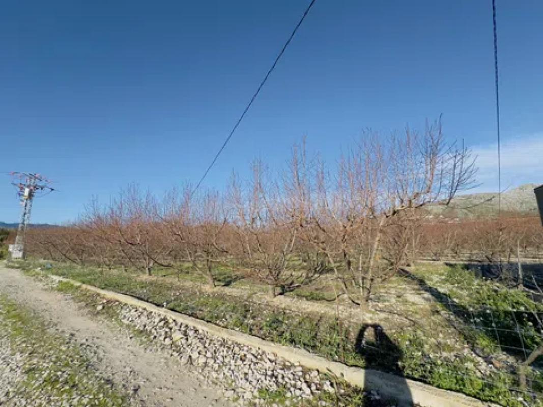 Terreno en venta en Sanet y Negrals, Alicante photo 2