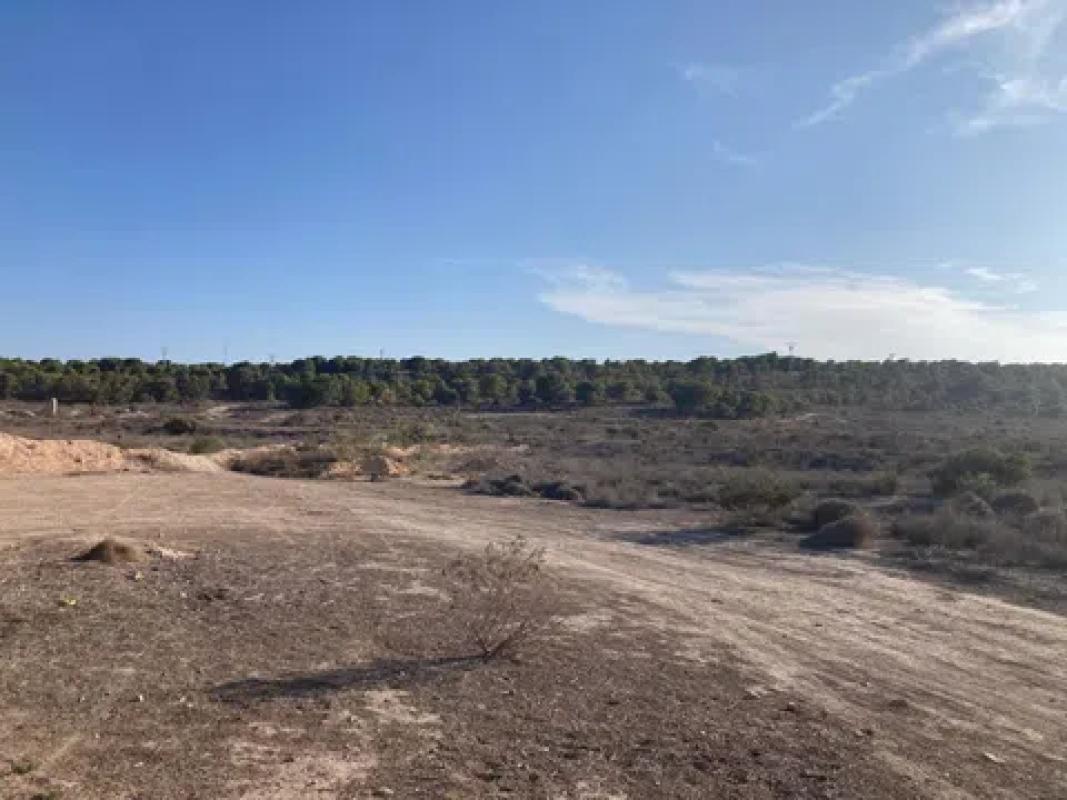 Land for sale in Alicante, Alicante photo 3