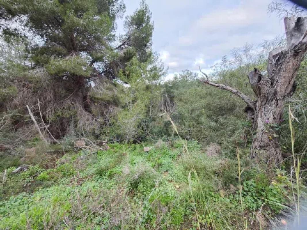 Land for sale in Benissa, Alicante photo 5