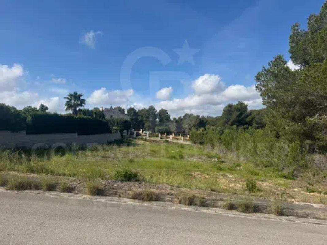 Terreno en venta en Jávea/Xàbia, Alicante photo 3
