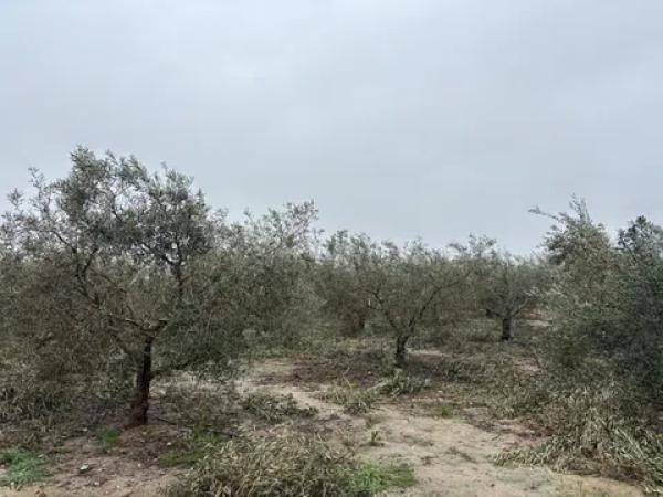 Terreno en La Hoya-Daimes-El Derramador photo 4