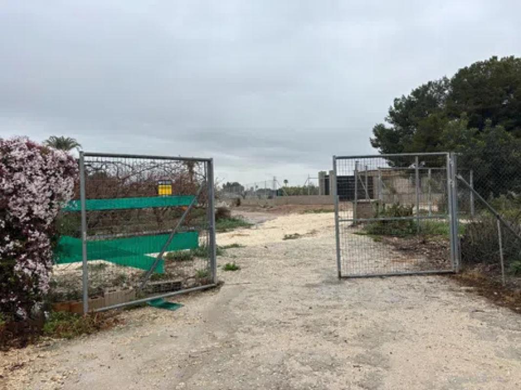 Land for sale in Elche / Elx, Alicante photo 5