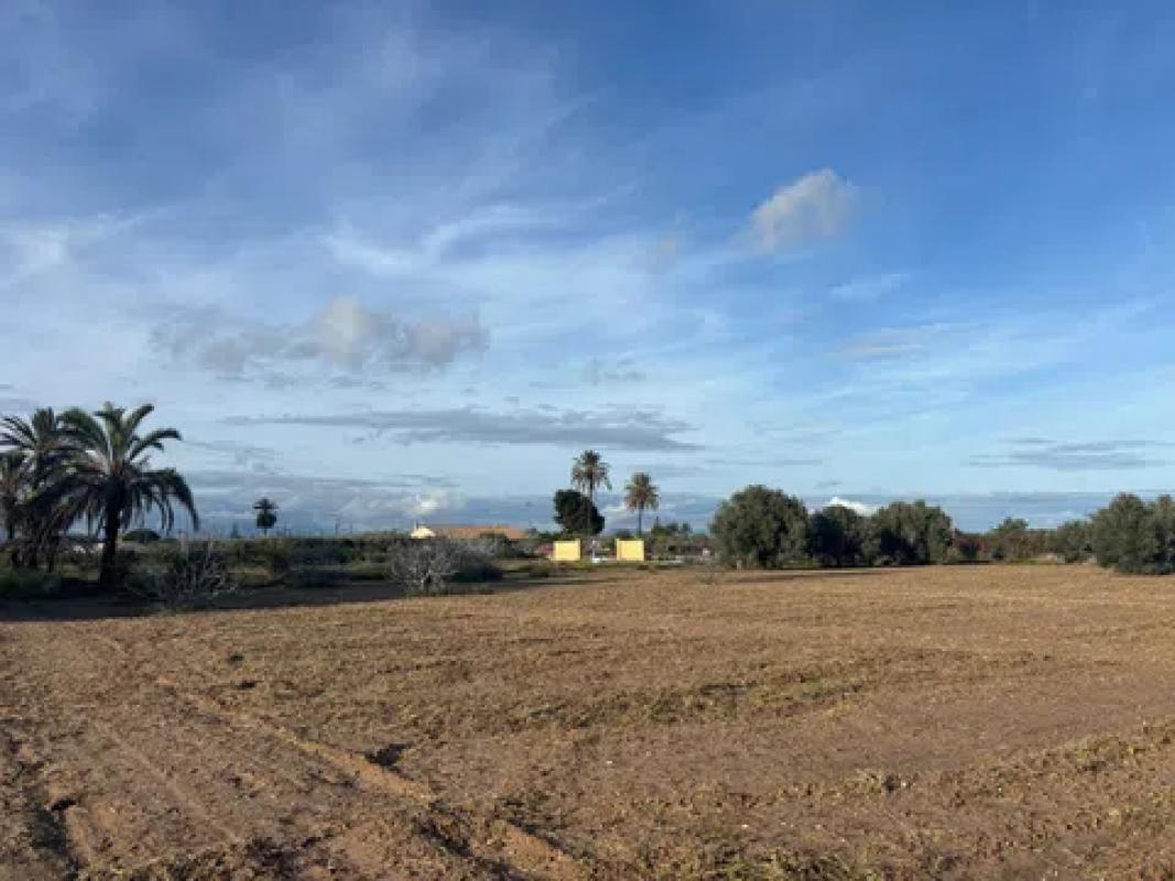 Land for sale in Elche / Elx, Alicante photo 2
