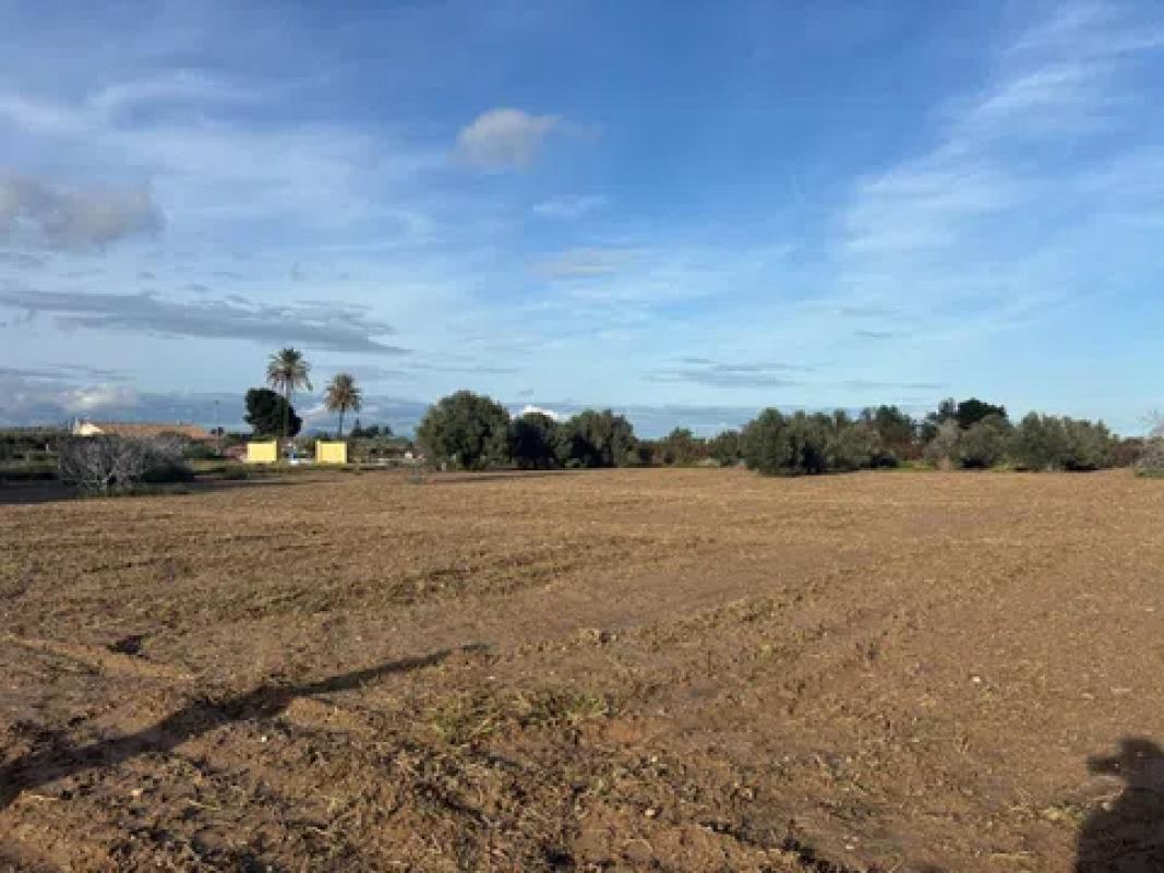 Land for sale in Elche / Elx, Alicante photo 5