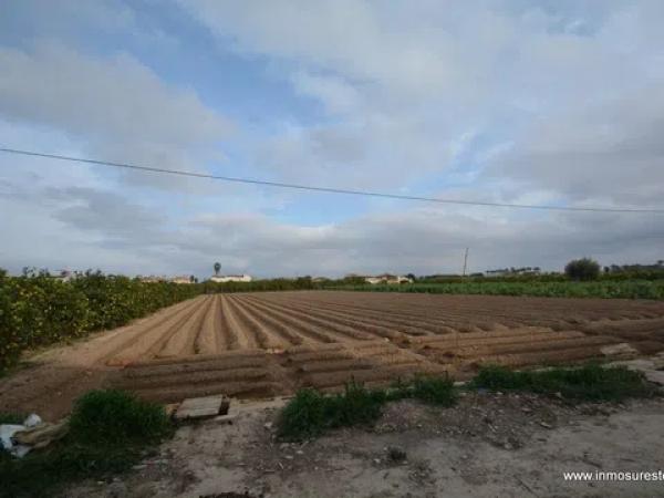 Terreno en Molins-Campaneta-San Bartolomé photo 2