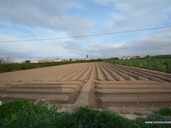 Terreno en Molins-Campaneta-San Bartolomé photo 3