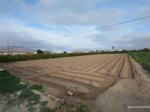 Terreno en Molins-Campaneta-San Bartolomé photo 4