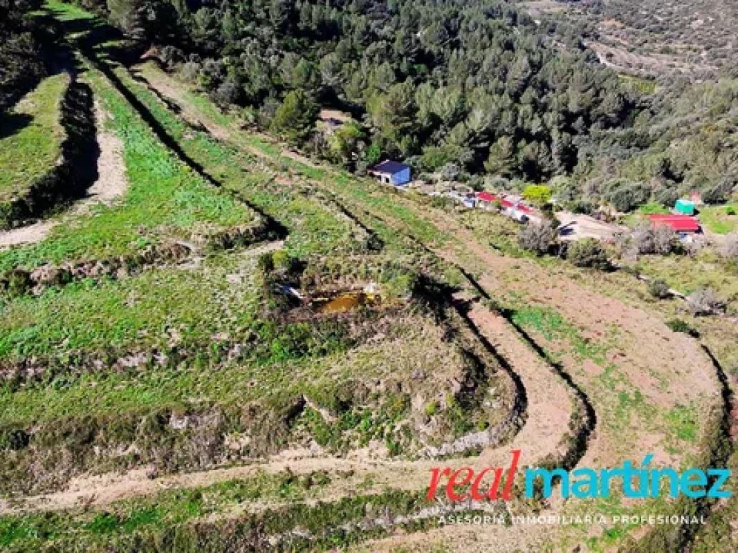 Terreno en venta en Alcalalí, Alicante photo 4