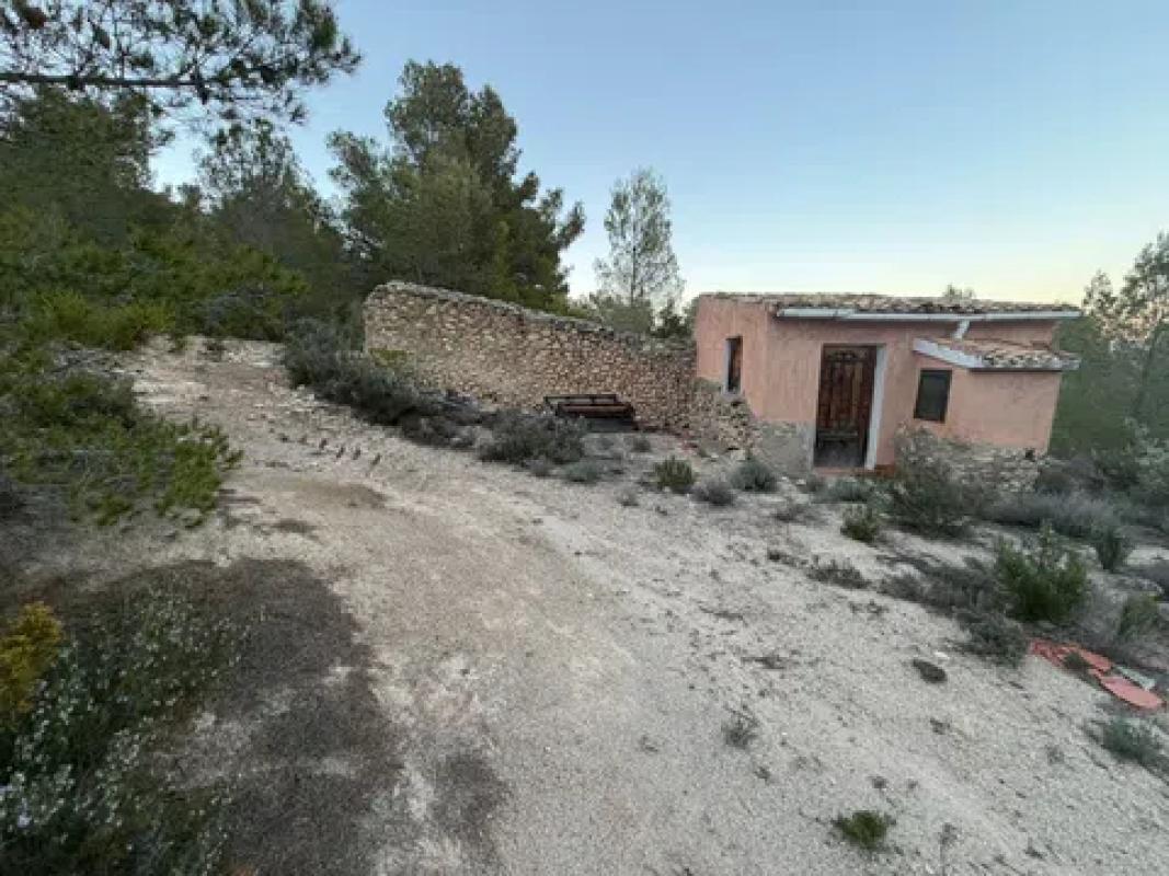Land for sale in Castalla, Alicante photo 2
