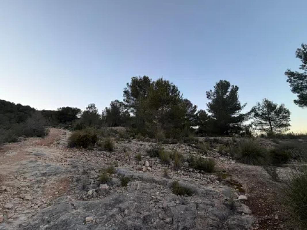 Land for sale in Castalla, Alicante photo 3