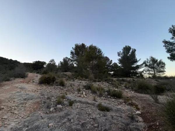 Terreno en Les voltes s/n photo 3