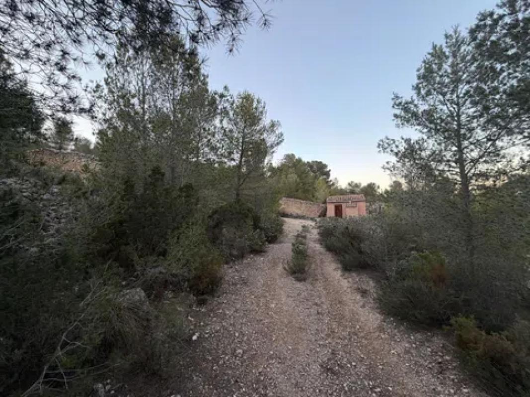 Land for sale in Castalla, Alicante photo 4