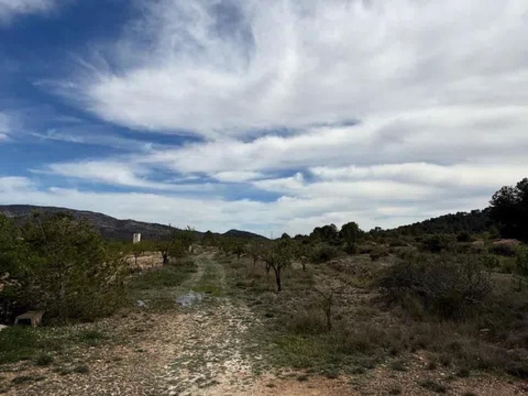 Terreno en venta en Monovar, Alicante photo 2