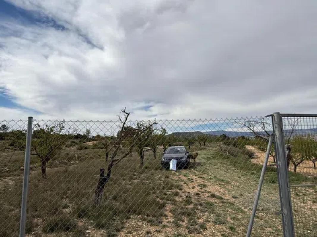 Terreno en venta en Monovar, Alicante photo 3