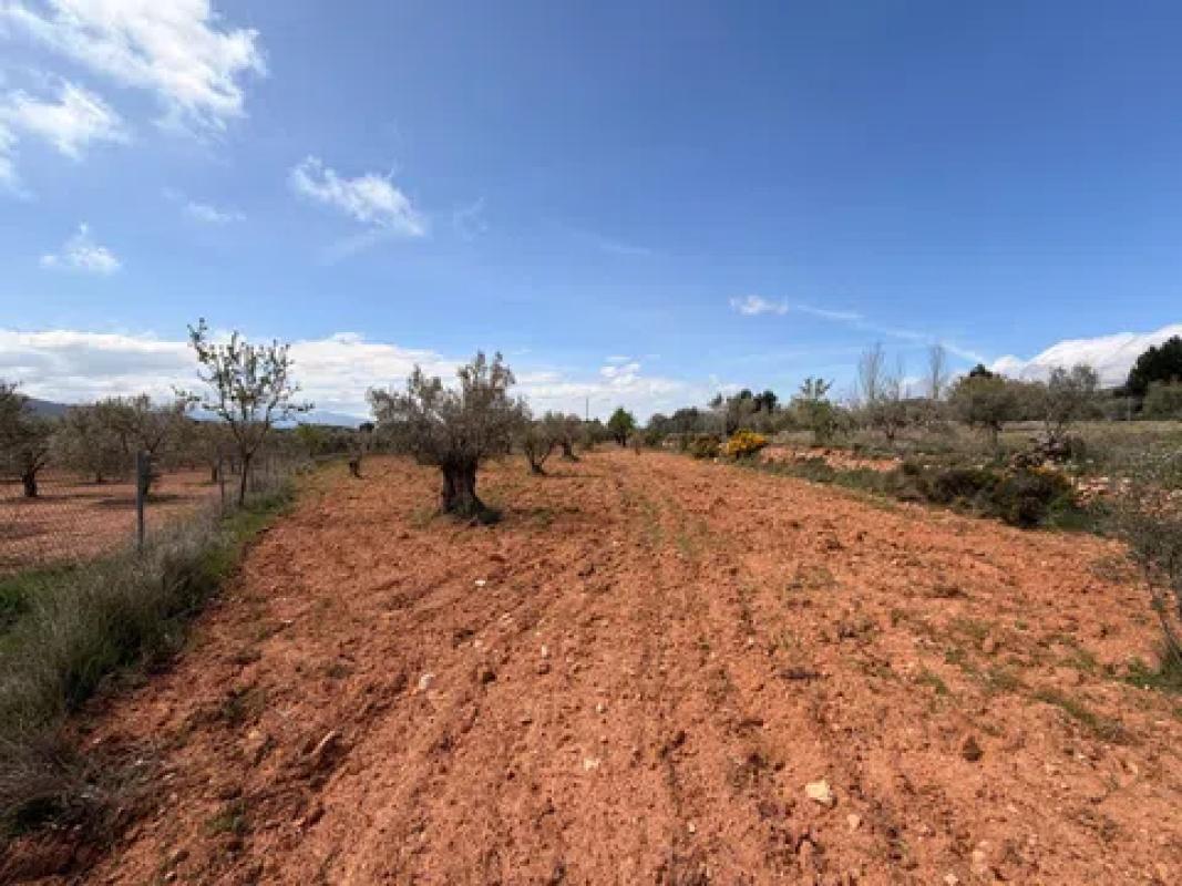 Terreno en venta en Ibi, Alicante photo 2