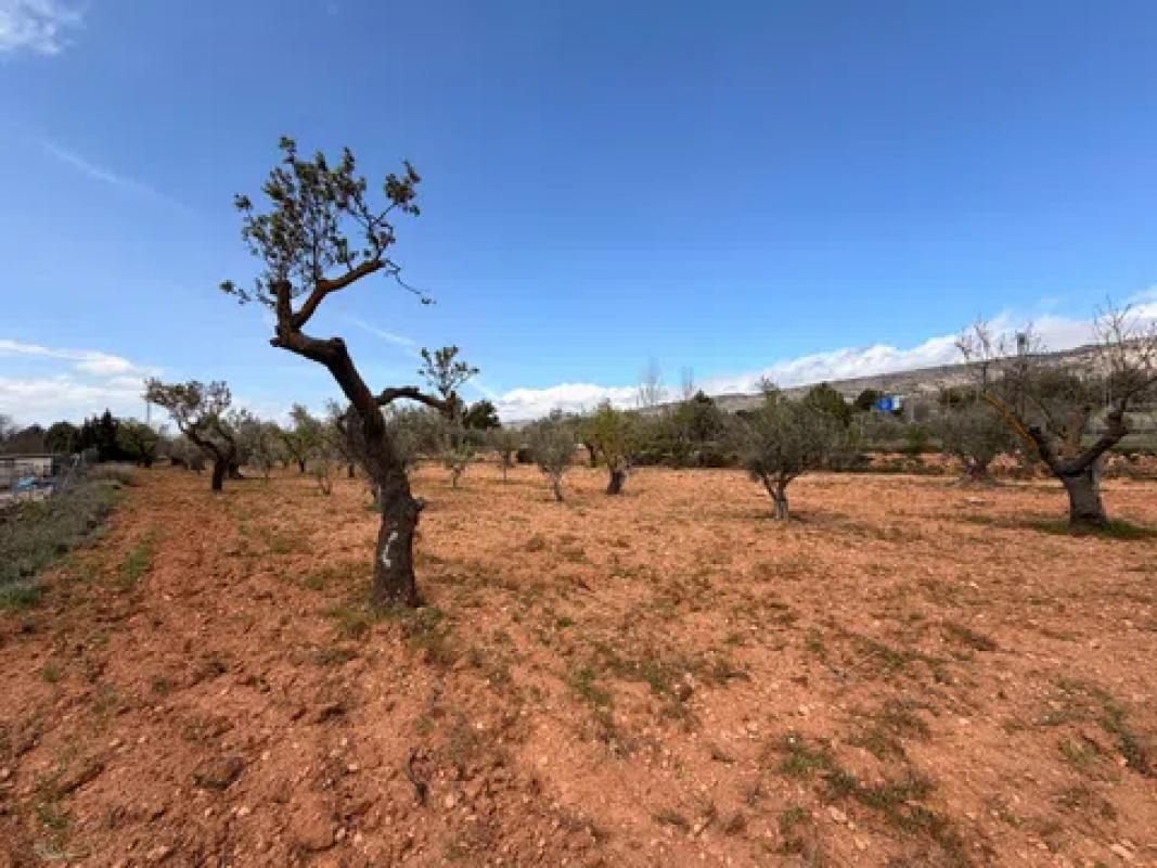 Terreno en venta en Ibi, Alicante photo 4