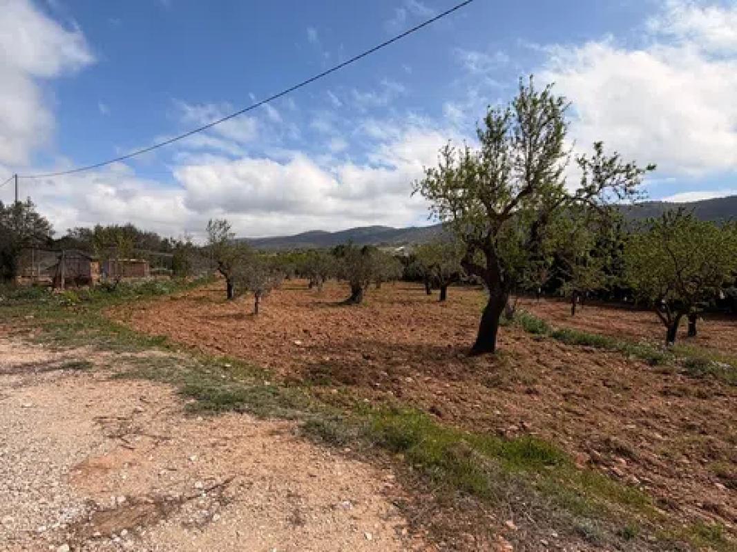 Terreno en venta en Ibi, Alicante photo 5