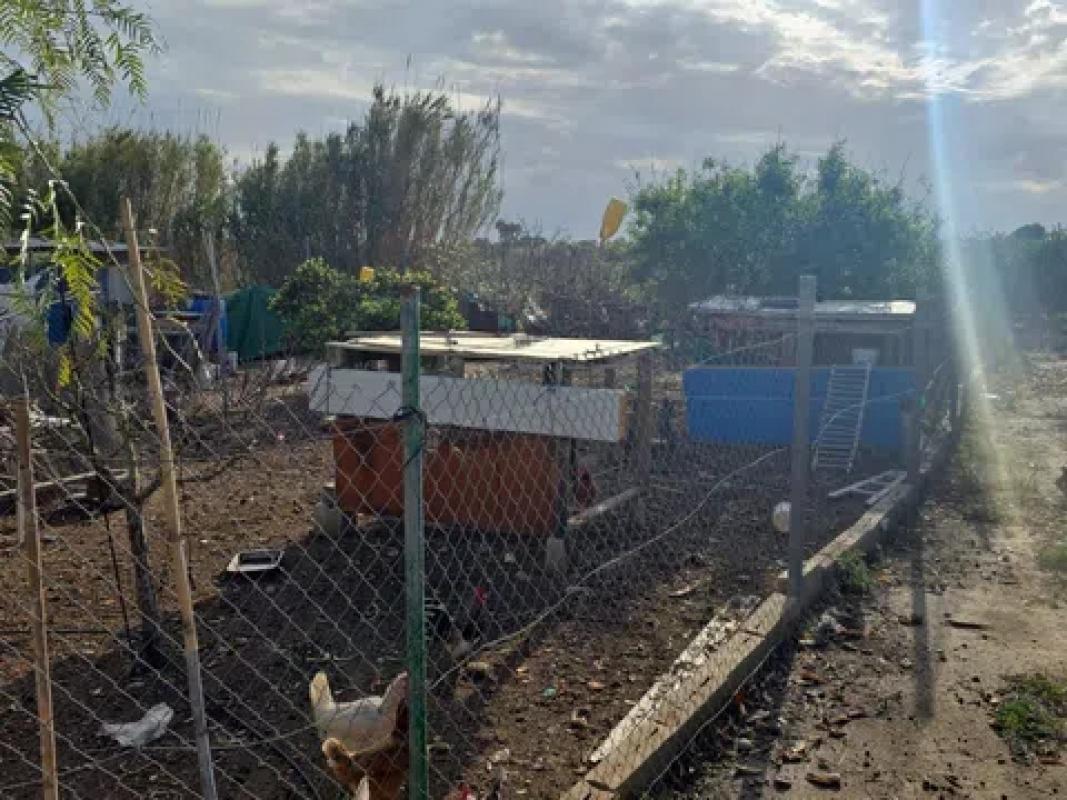 Land for sale in Elche / Elx, Alicante photo 3